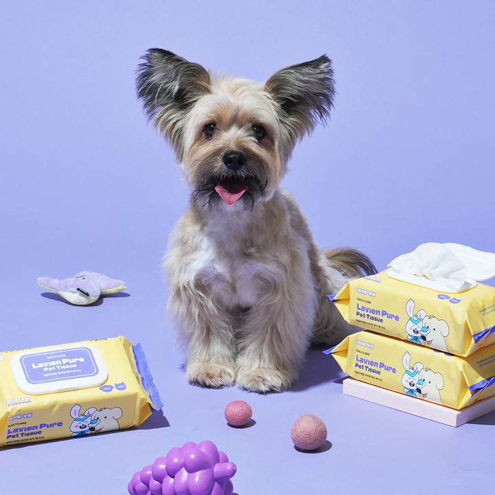 펫생각 데일리케얼 라비엔 퓨어 펫 티슈 6개입 (80매)