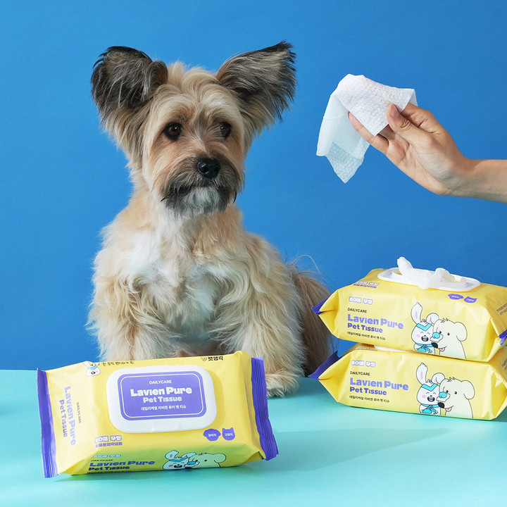 펫생각 데일리케얼 라비엔 퓨어 펫 티슈 6개입 (80매)