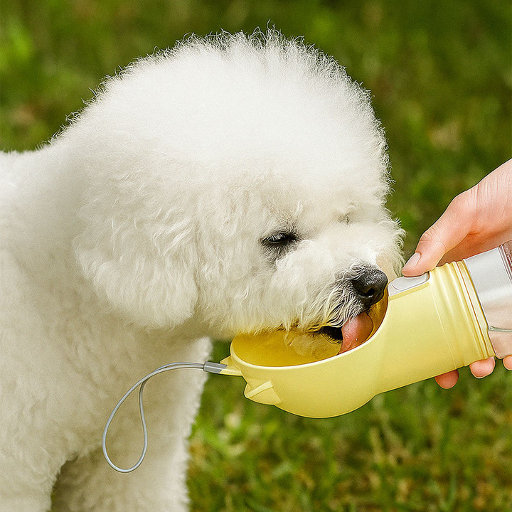 크레용펫 쫑긋 원터치 휴대용 산책 물병 (2type)
