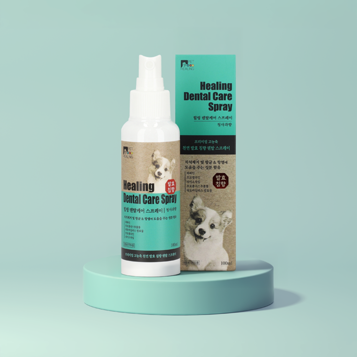 힐링 덴탈 케어 스프레이 100ml 2개