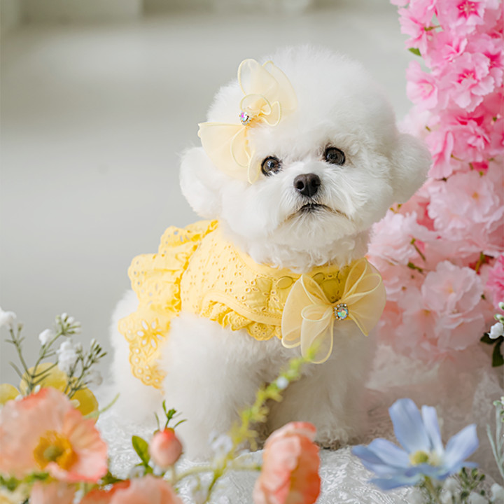 펫츠앤미 펀칭 벨크로 똑딱이 여름하네스 13color