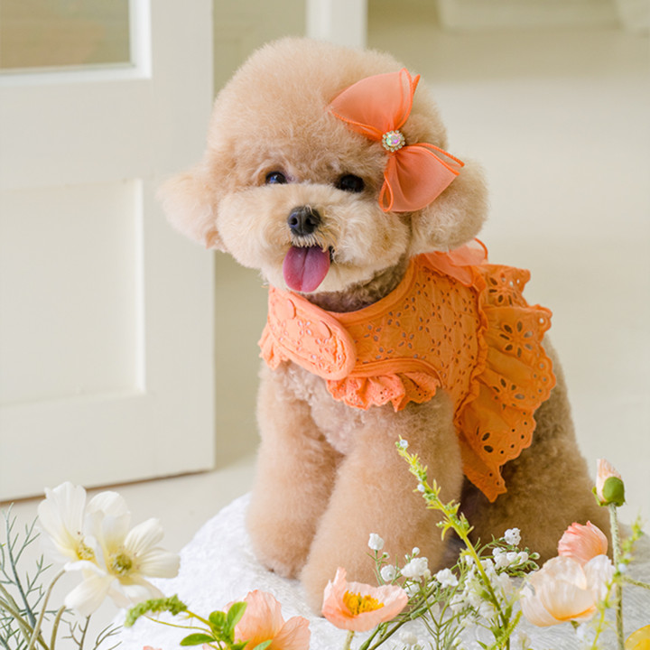 펫츠앤미 펀칭 벨크로 똑딱이 여름하네스 13color