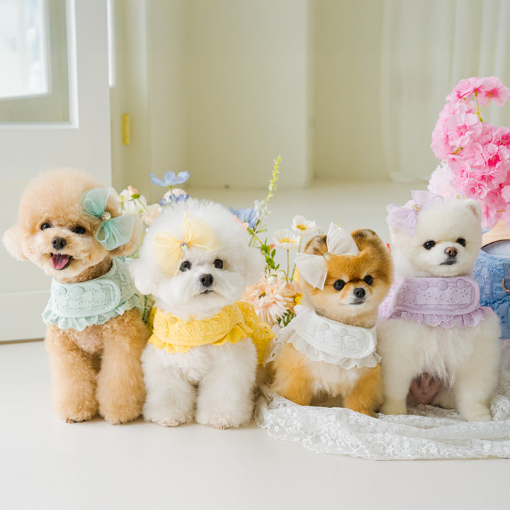 펫츠앤미 펀칭 벨크로 똑딱이 여름하네스 13color