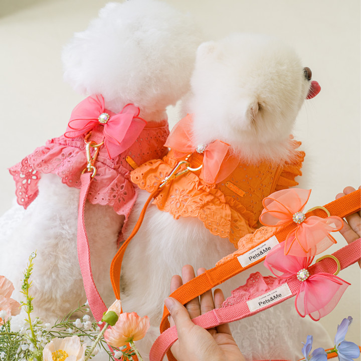 펫츠앤미 쉬폰 큐빅 브로치 10color
