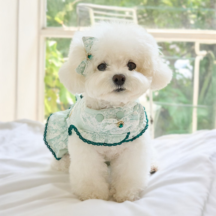 펫츠앤미 보우 브로치 4color