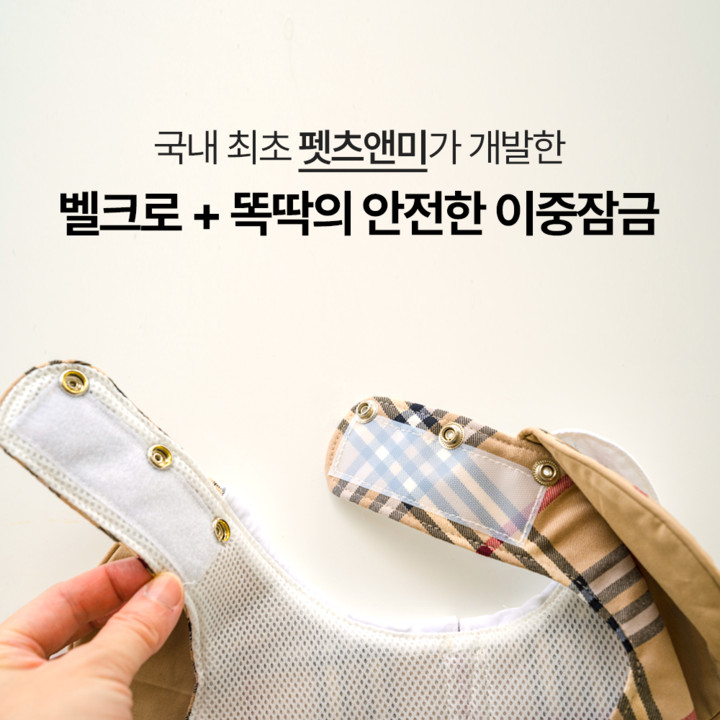 펫츠앤미 사립고 이름표 하네스