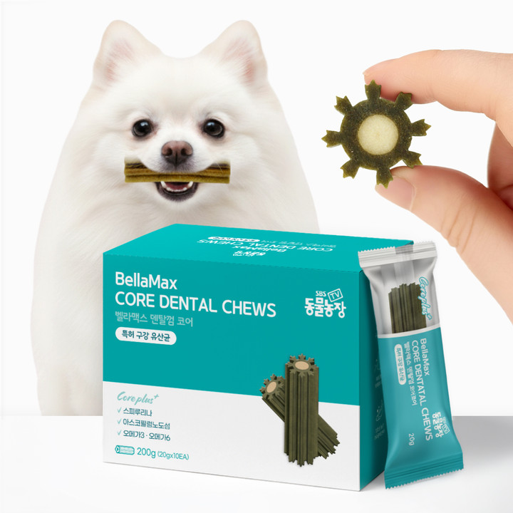 벨라맥스 SBS TV 동물농장 수의사 강아지 덴탈껌 코어 구강 유산균