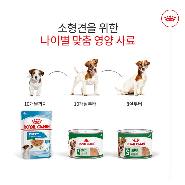 로얄캐닌 미니 에이징 로프 캔 195g