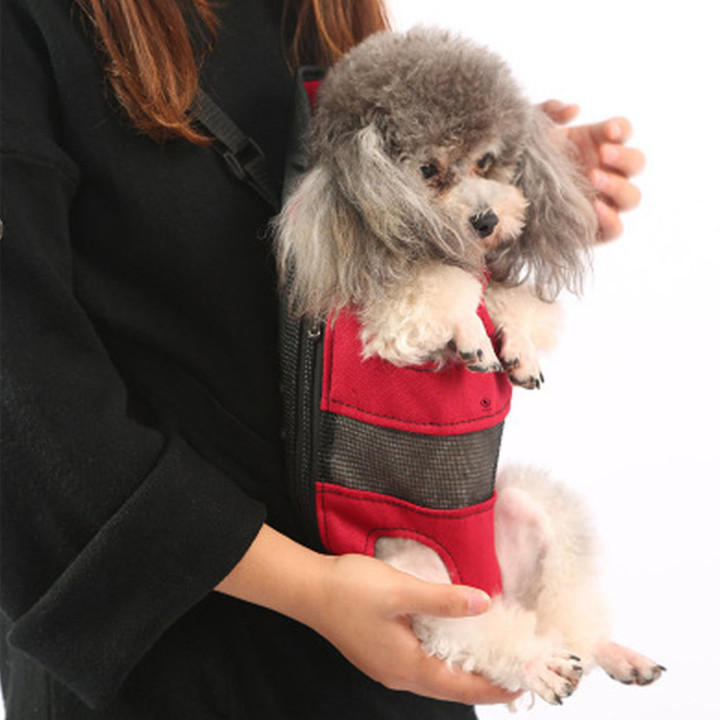 딩동펫 애견 슬림포대기