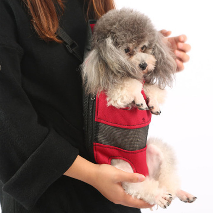 딩동펫 애견 슬림포대기