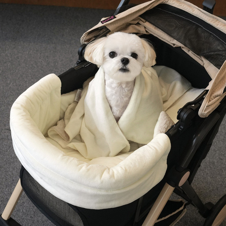 패리스독 와이드유모차시리즈(가드&쿠션&블랑켓) 아이보리