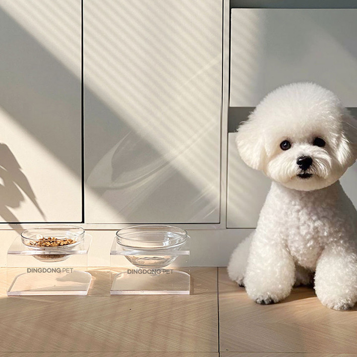 딩동펫 투명 글라스 보울 식기