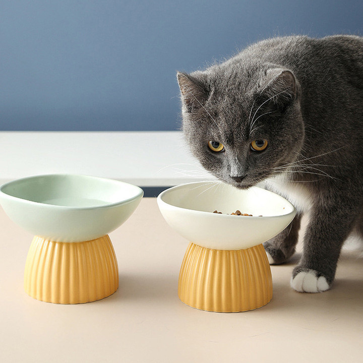 개과천선 로열 세라믹 식기