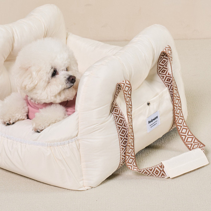 개과천선 테일러 카시트