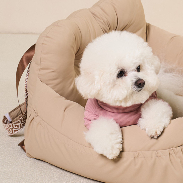 개과천선 테일러 카시트