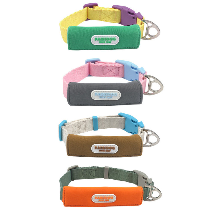 패리스독 컬러 웨빙 시리즈 옐로우