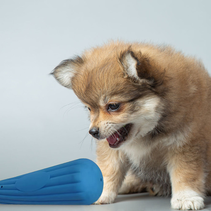 딩동펫 라텍스 야구방망이 삑삑이 장난감