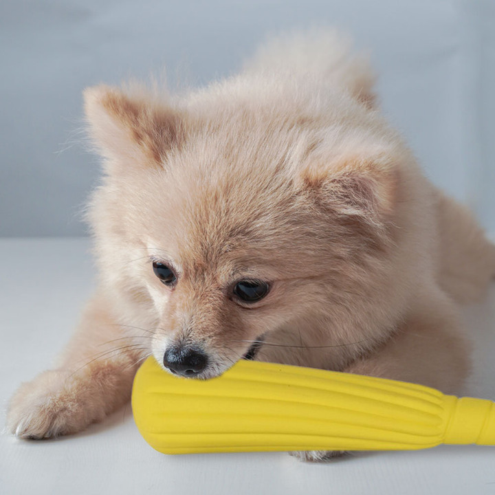 딩동펫 라텍스 야구방망이 삑삑이 장난감