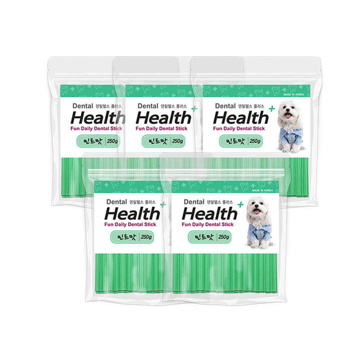 덴탈헬스플러스 민트 250g x 5개