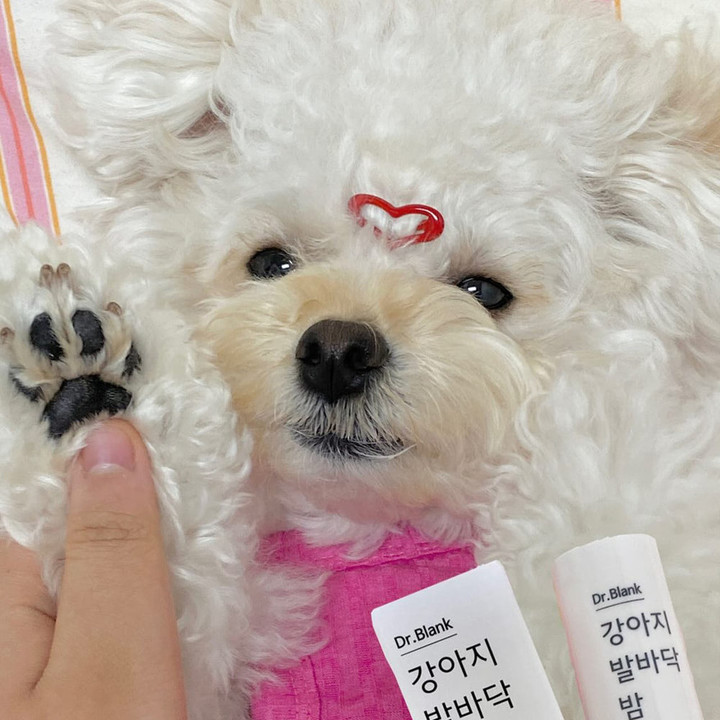 닥터블랭크 강아지 발바닥 밤 7.5g