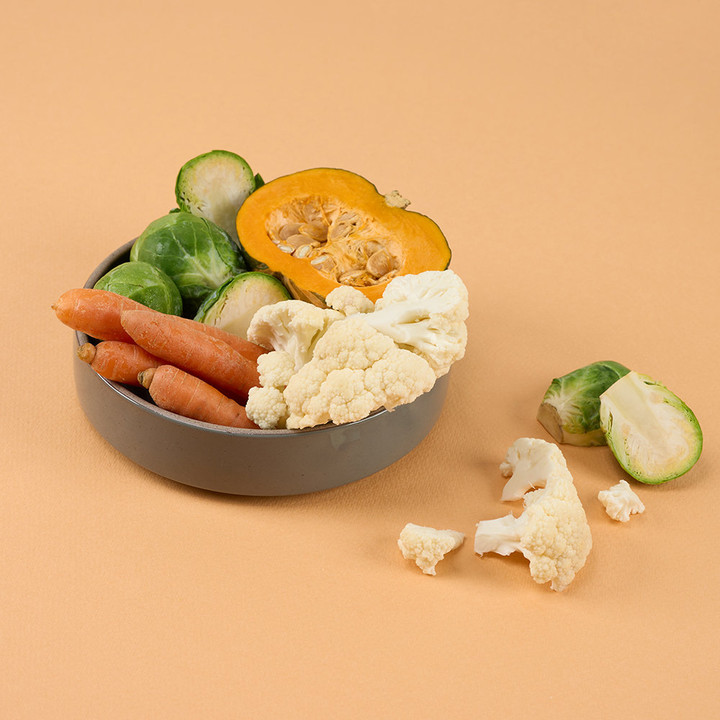 펫생각 하루조이 한입쏙쏙 채소믹스 25g