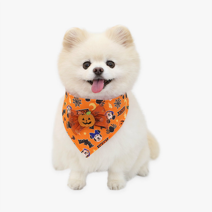 이츠독 디즈니 할로윈 틱톡 스카프 오렌지