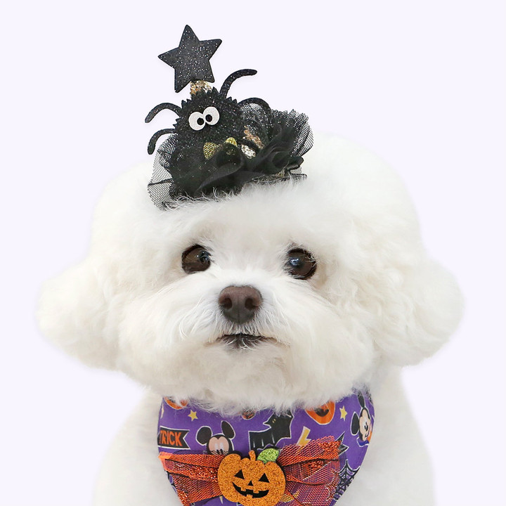 이츠독 할로윈 거미핀