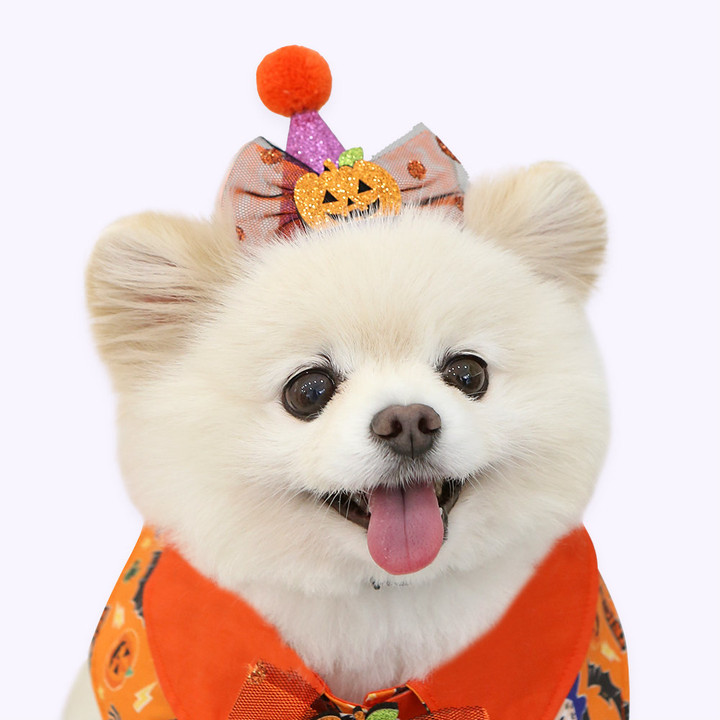 이츠독 할로윈 고깔 모자