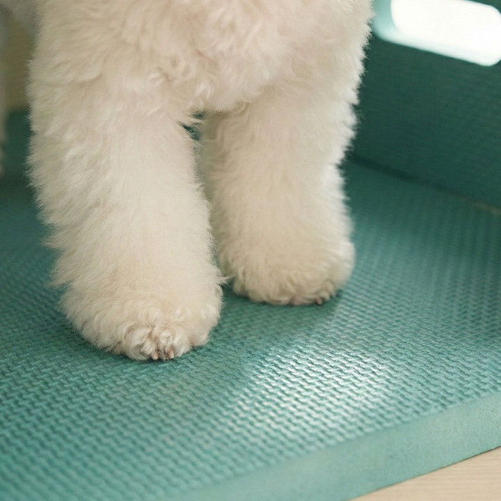 크레용펫 코지 폼 하우스 대형 강아지 집