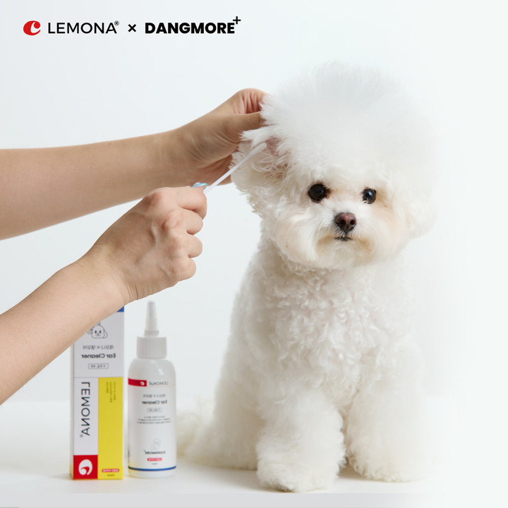 레모나 X 댕모어 올인원3종 SET