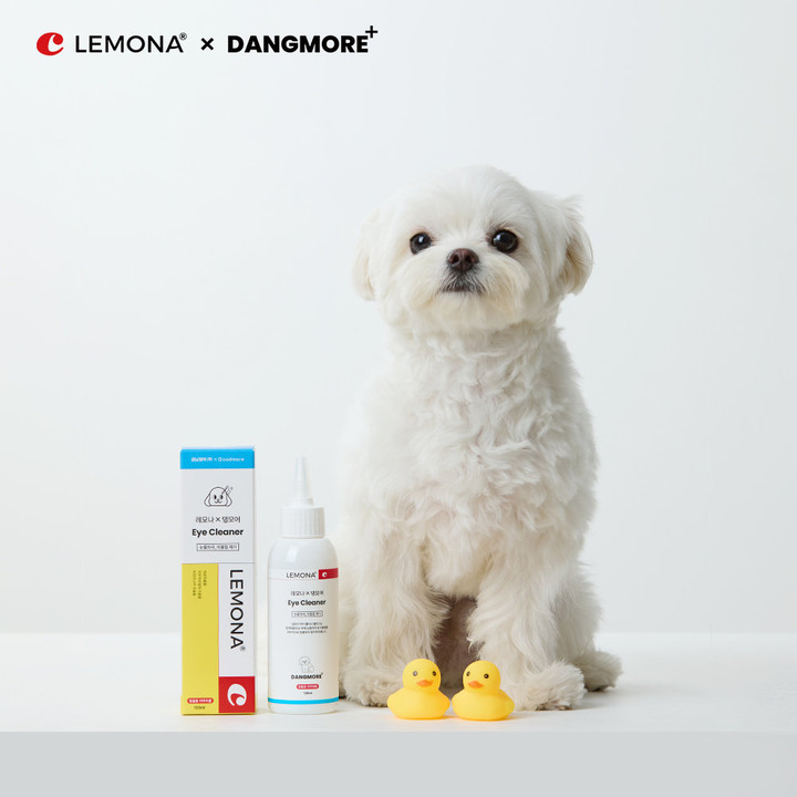 레모나 X 댕모어 올인원3종 SET