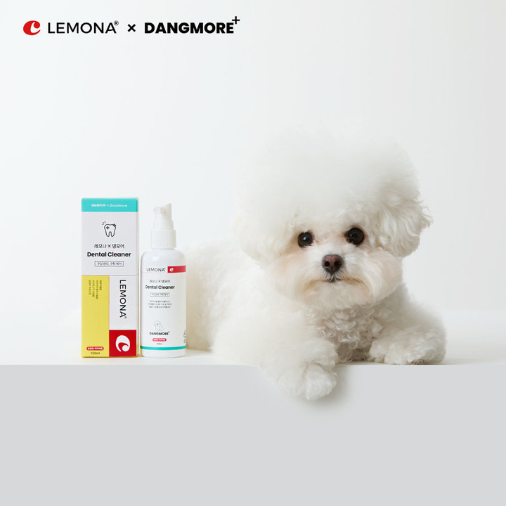 레모나 X 댕모어 올인원3종 SET