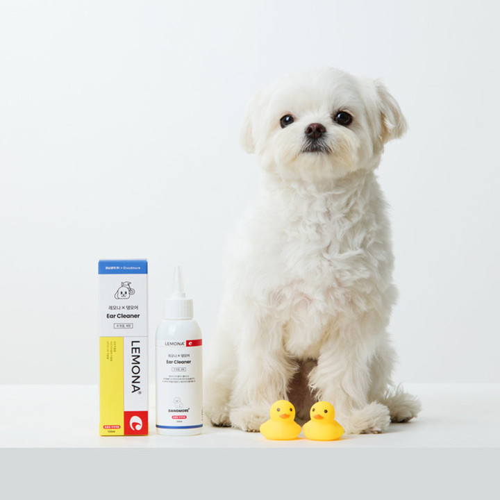 댕모어 레모나 귀염증&치석 관리 2종 세트
