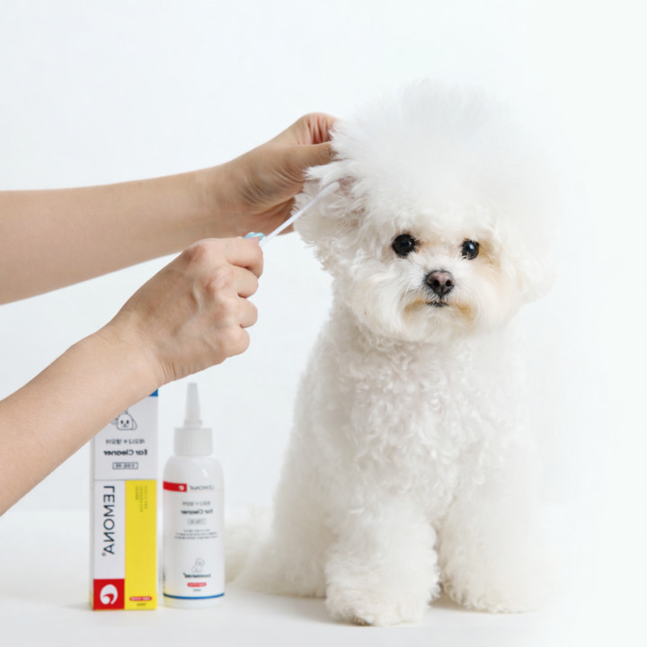 댕모어 레모나 귀염증&치석 관리 2종 세트