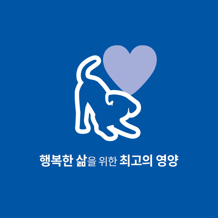 힐스 강아지 어덜트 헬시 퀴진 치킨 & 쌀 스튜 주식캔 354g