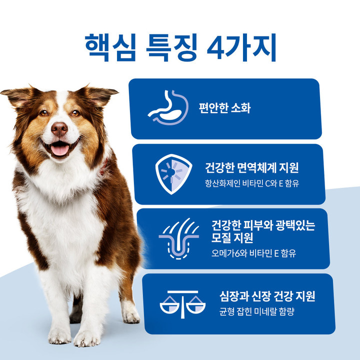 힐스 강아지 어덜트 헬시 퀴진 치킨 & 쌀 스튜 주식캔 354g