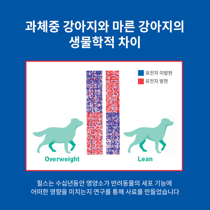 힐스 강아지 어덜트 퍼펙트 웨이트 & 조인트 서포트 참치 스튜 354g
