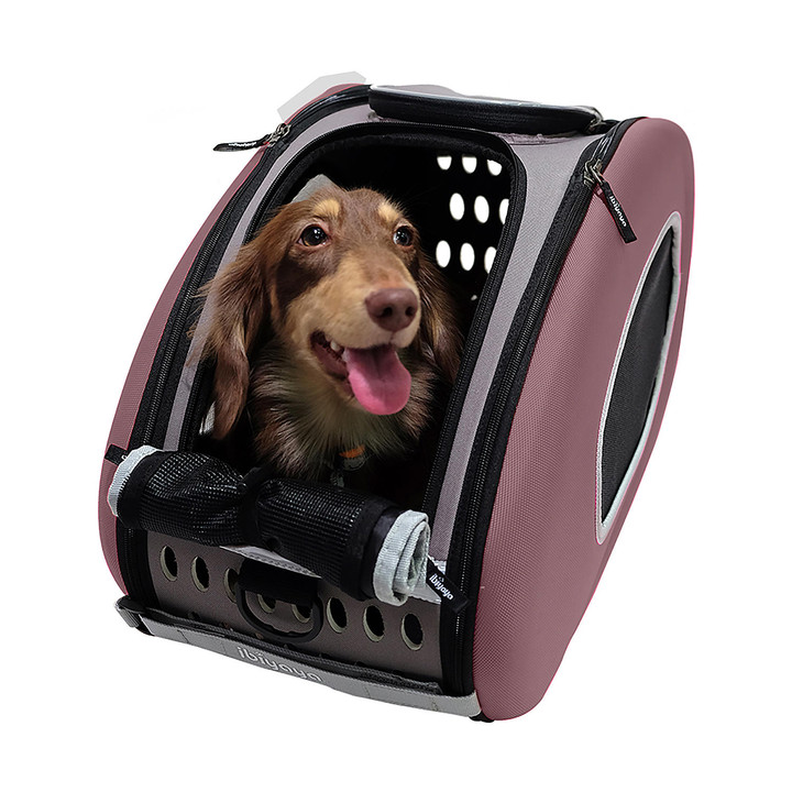 이비야야 4in1 컬러 캐리어 FC1008 브라운