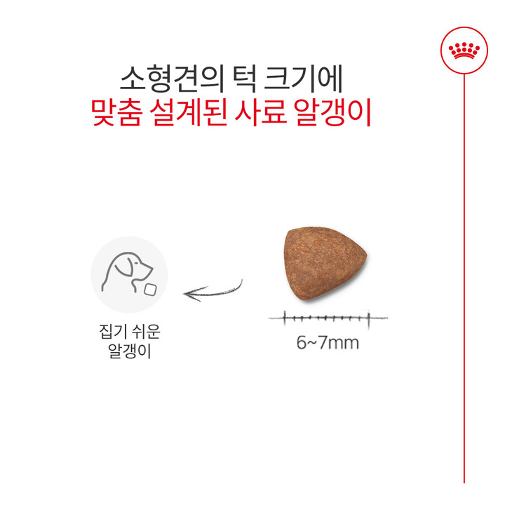 로얄캐닌 미니 인도어 어덜트 3kg 소화기 건강