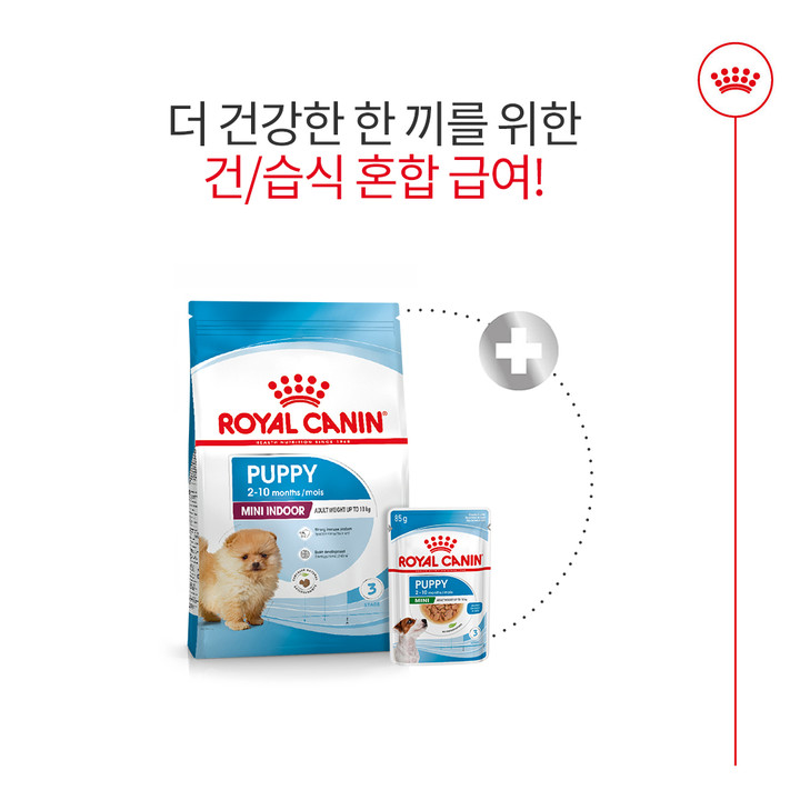 로얄캐닌 미니 인도어 퍼피 3kg 면역력