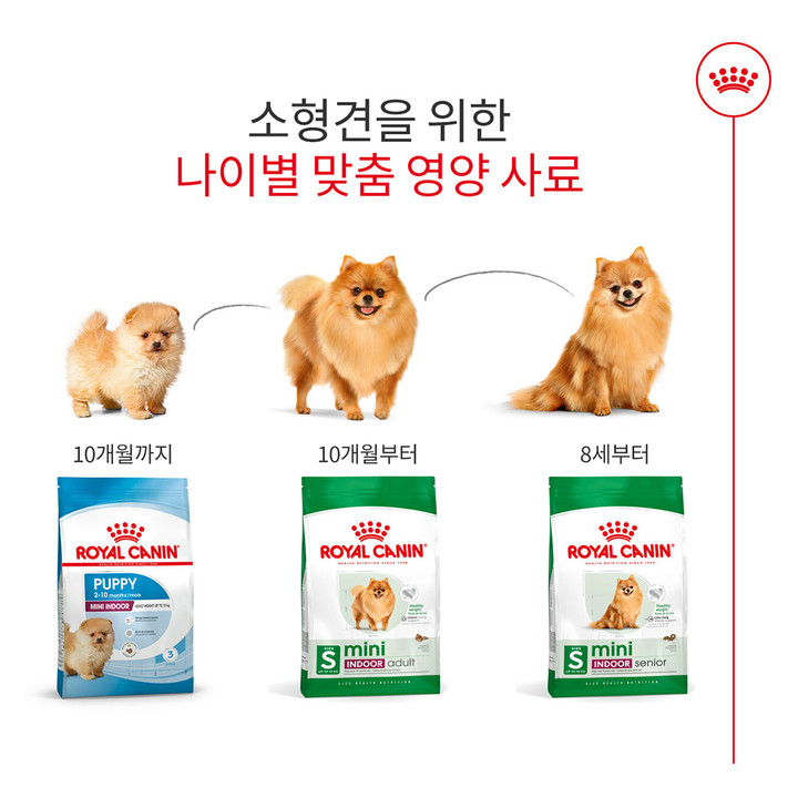 로얄캐닌 미니 인도어 퍼피 3kg 면역력