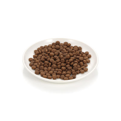 이즈칸 파이브케어 2.1kg