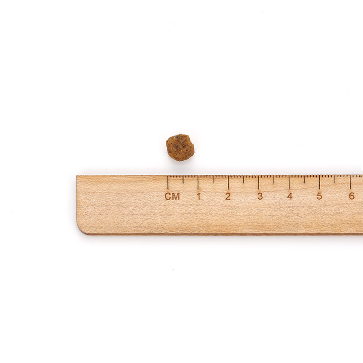 힐스 강아지 어덜트 7+ 스몰 바이트 2kg