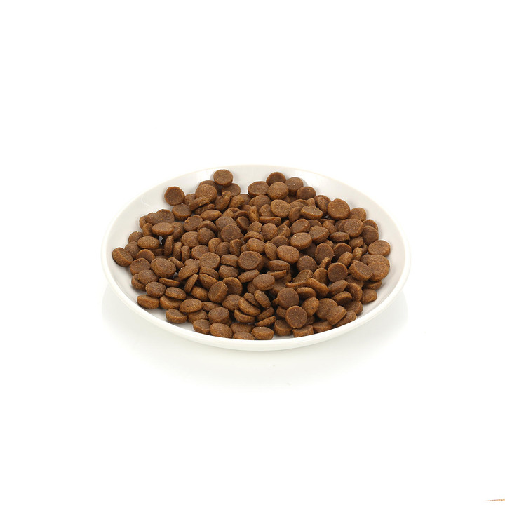 로얄캐닌 다이제스티브 케어 1kg 소화 도움