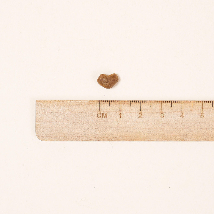 로얄캐닌 시츄 퍼피 1.5kg 단두종 치석관리