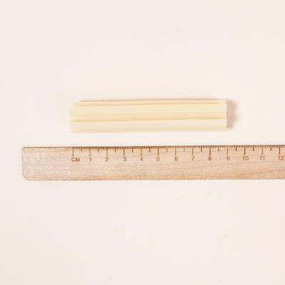 마이펫닥터 개꿀껌 18g, 12개입