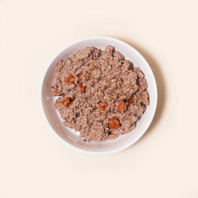HALO 어덜트 스튜 칠면조&연어 156g X 10개입