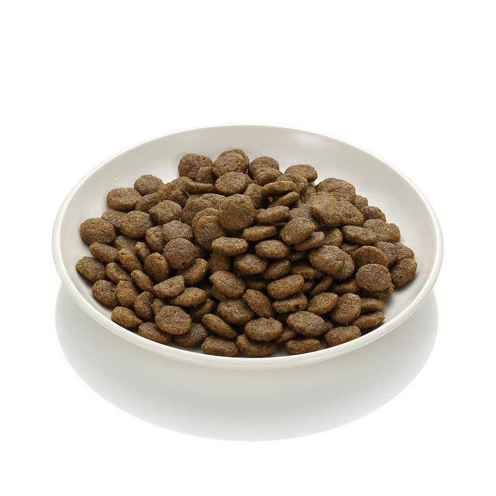 [샘플] go! LID 그레인프리 연어 40g