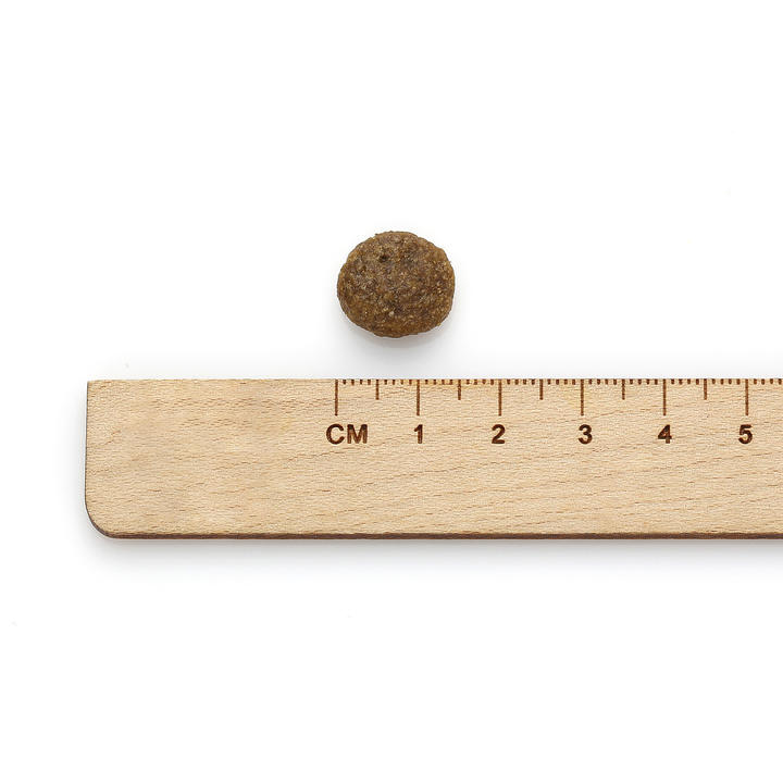 [샘플] go! LID 그레인프리 연어 40g