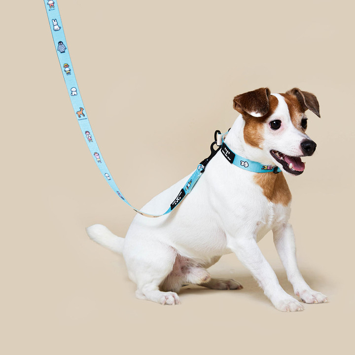 플로트X제로퍼제로 스탠다드 리드줄 2M 민트베이지